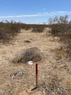 Rosamond, CA 93560,0 Fisher AVE