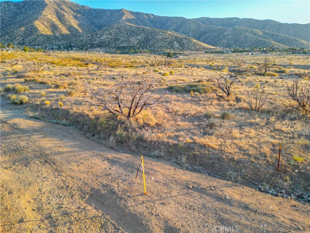 Littlerock, CA 93543,121 STE Roadrunner LN