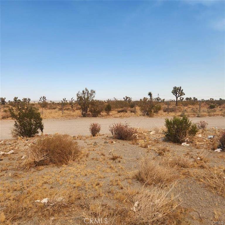 Pinon Hills, CA 92371,1595 La Mesa RD