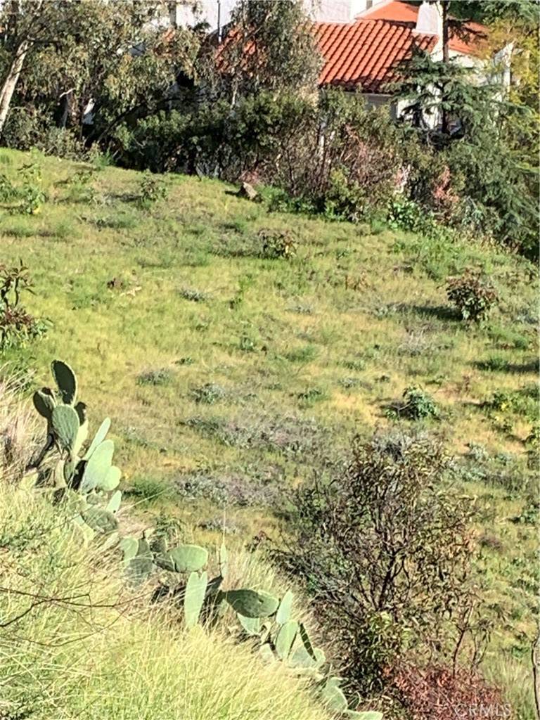 Glendale, CA 91202,1 NESMUTH