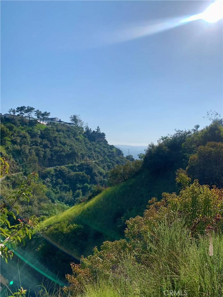 Glendale, CA 91202,1 NESMUTH