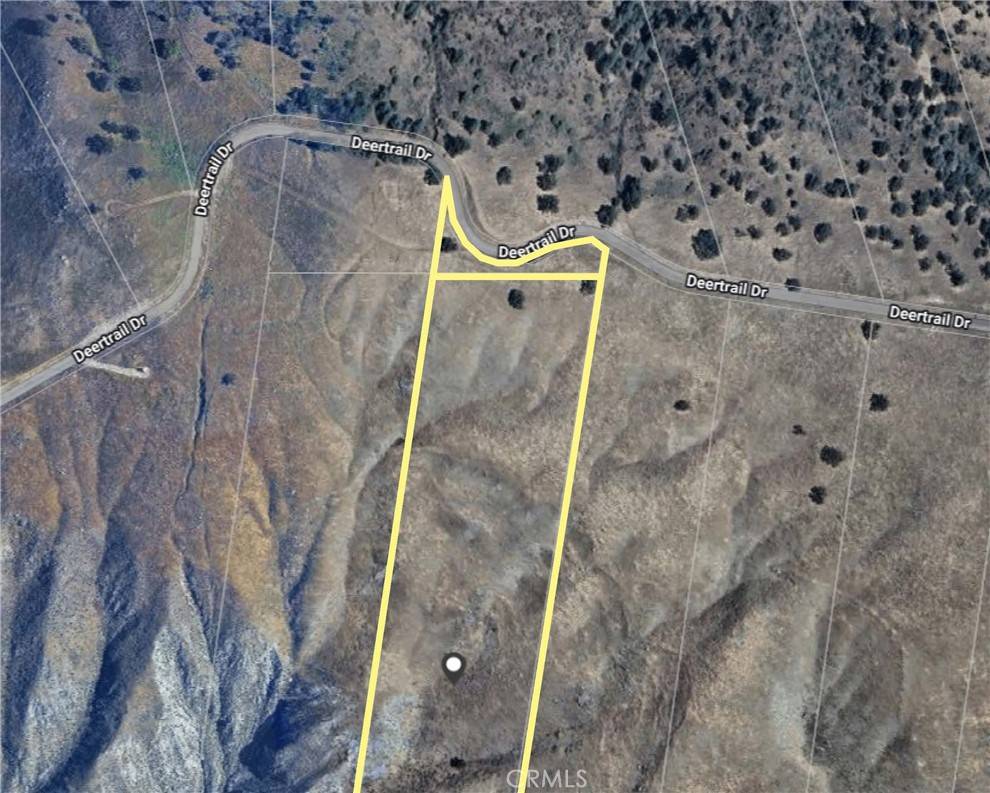 Tehachapi, CA 93561,29801 Deertrail DR