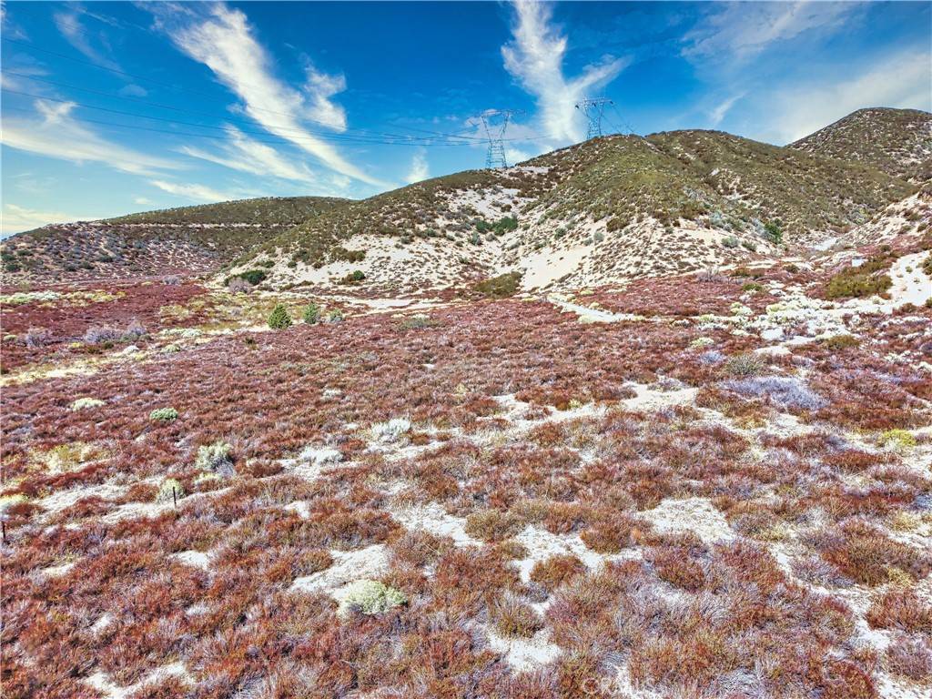 Palmdale, CA 93551,1 Bouquet Canyon RD