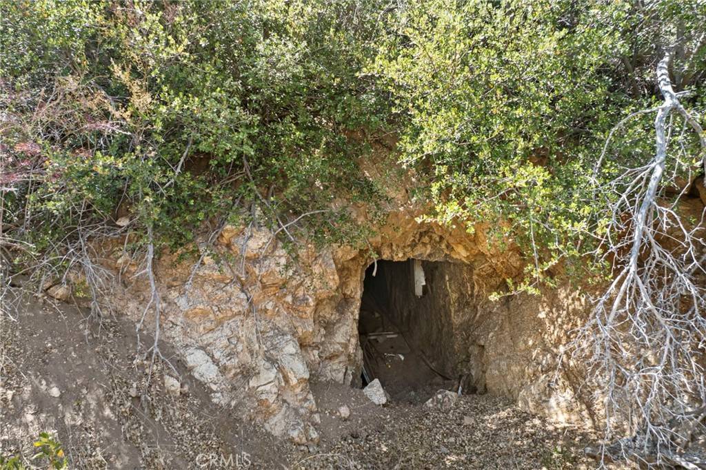 Acton, CA 93510,2 Aliso Canyon RD