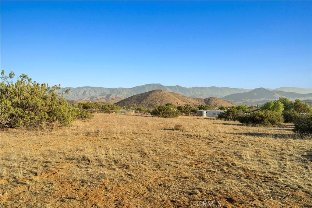 Acton, CA 93510,0 Dwight Lee