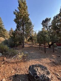 Pine Mountain Club, CA 93222,15120 acacia