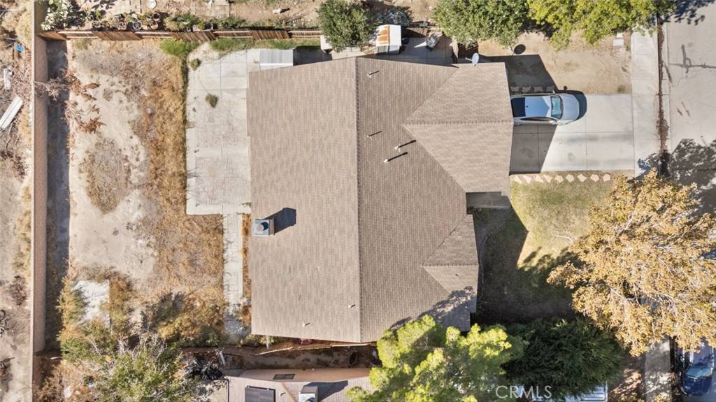 Rosamond, CA 93560,2024 Phlox