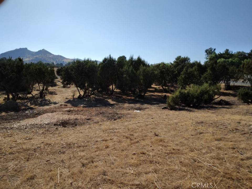 Agua Dulce, CA 91350,0 Agua Dulce Canyon