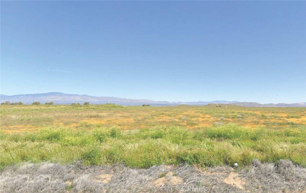 Antelope Acres, CA 93536,9800 Avenue C-8