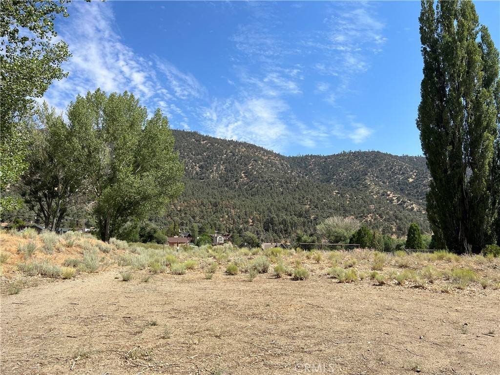 Pine Mountain Club, CA 93222,2608 Beechwood WAY