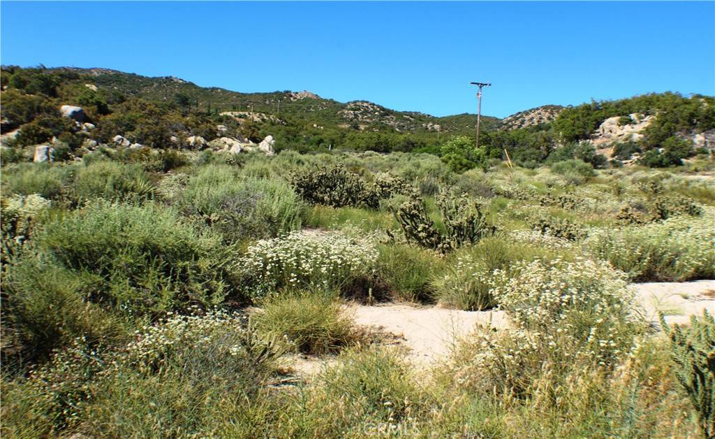 Anza, CA 92539,42560 Labrinia LN