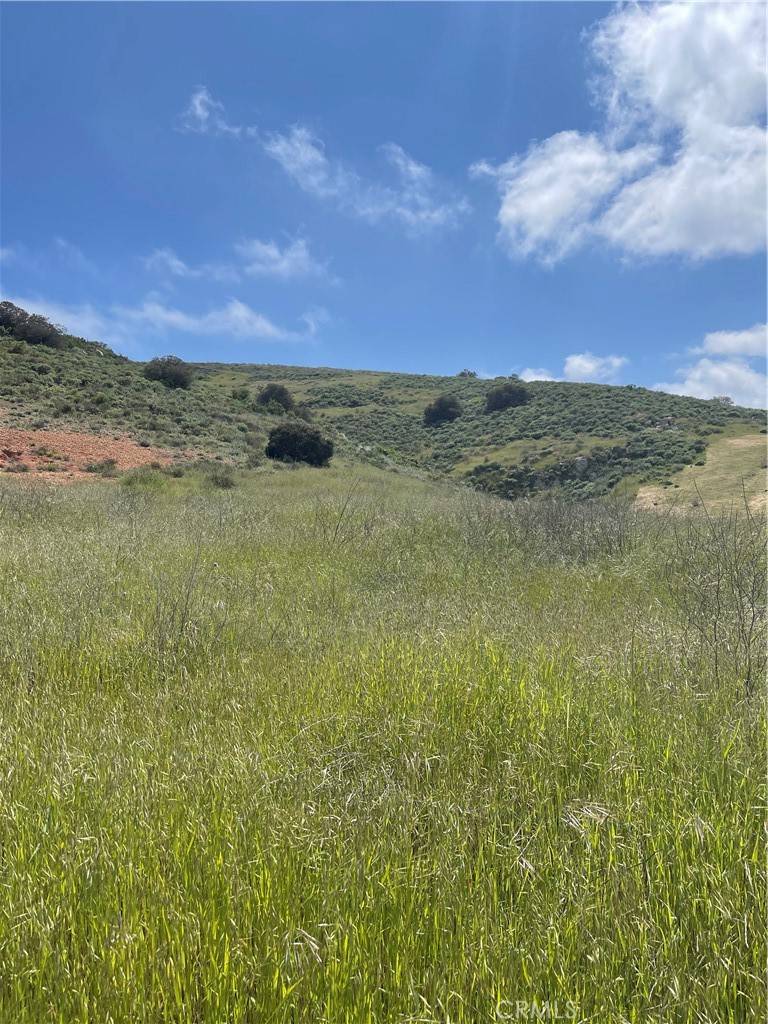 Murrieta, CA 92562,0 Wendy LN