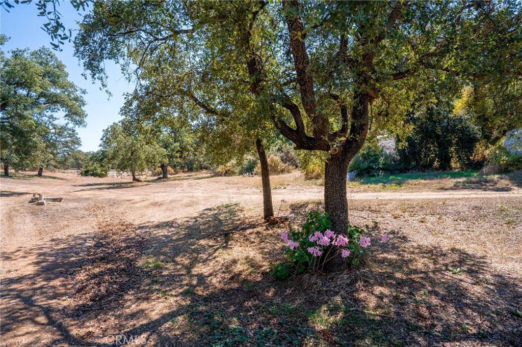 Jamul, CA 91935,17939 Lyons Valley RD