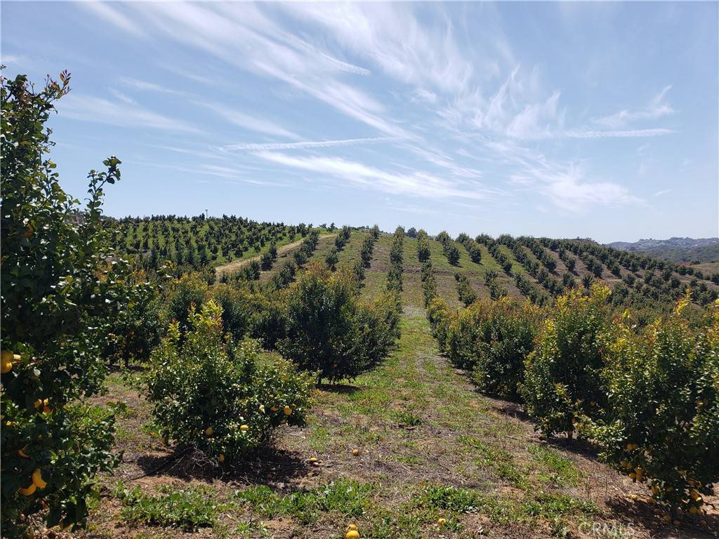 Temecula, CA 92590,7 Calle Jardin