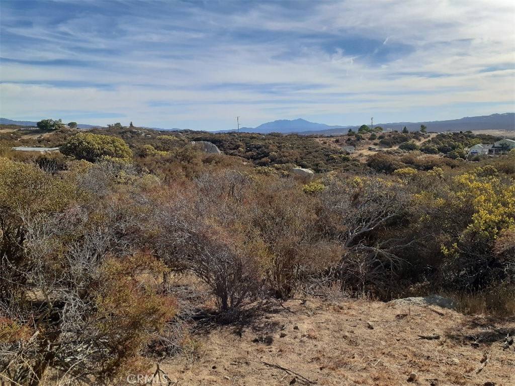 Aguanga, CA 92536,0 Lake Canyon