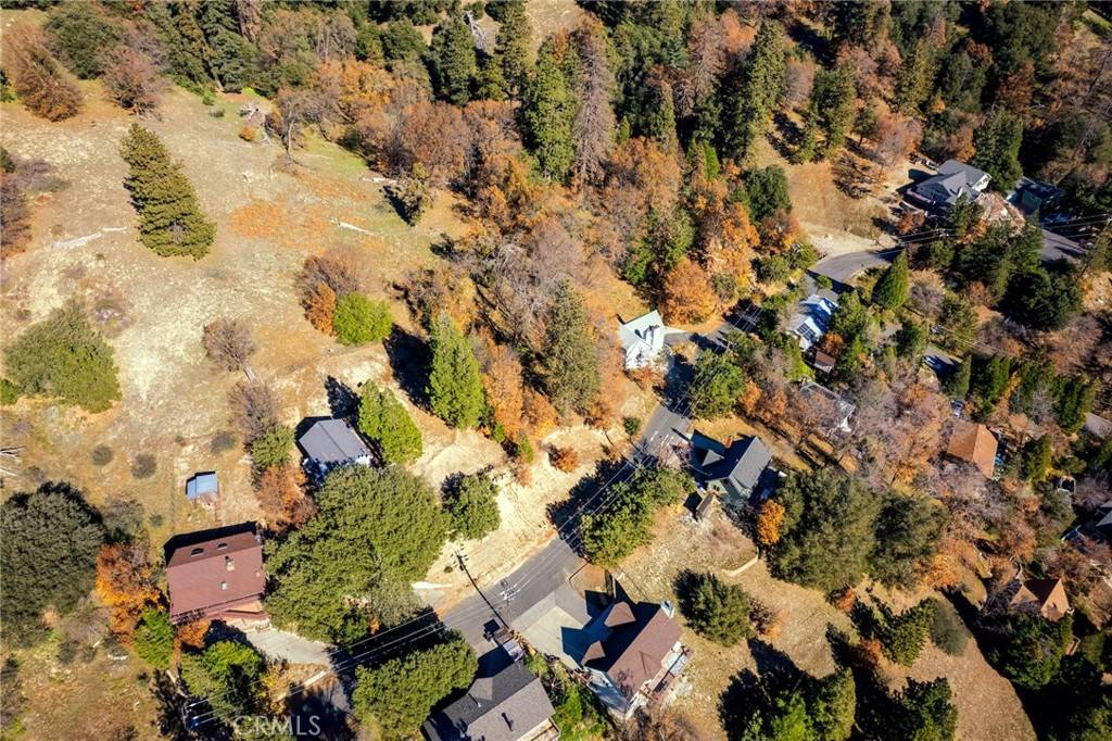 Crestline, CA 92325,0 Briarwood LN