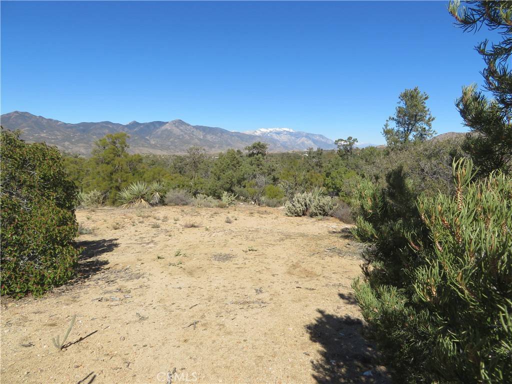 Mountain Center, CA 92561,155 Lot #155 Buckthorn