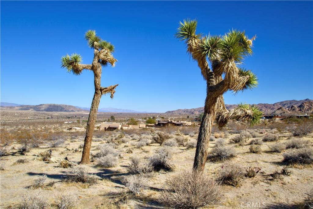 Joshua Tree, CA 92252,1040 Sullivan RD
