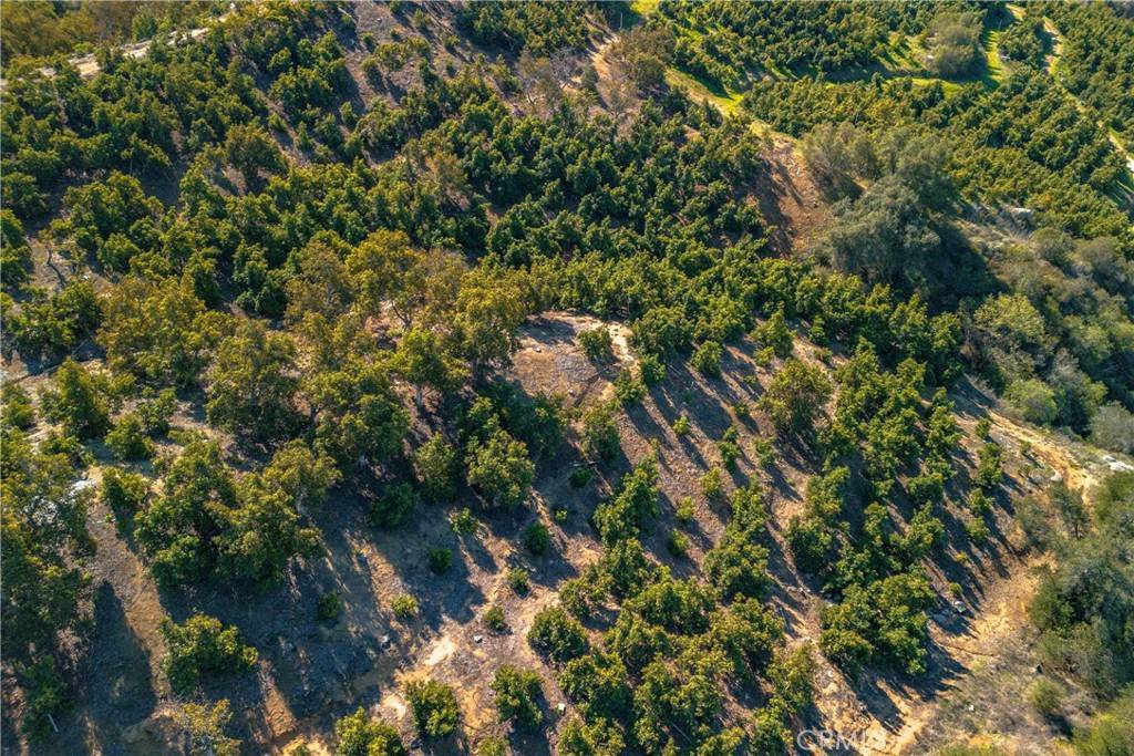 Temecula, CA 92590,0 Camaron RD