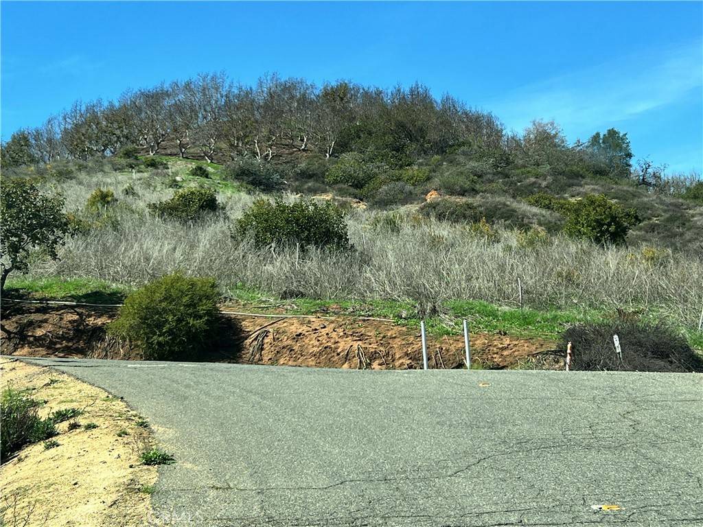Valley Center, CA 92082,0 Running Creek TRL