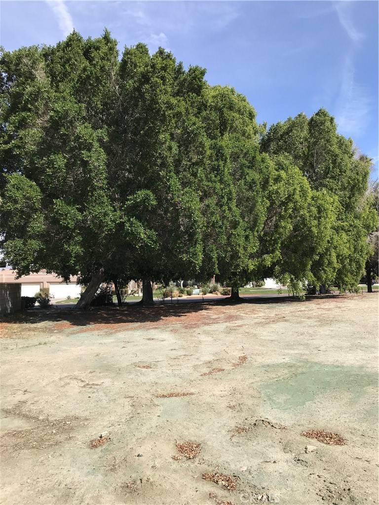 Bermuda Dunes, CA 92203,0 Adams ST