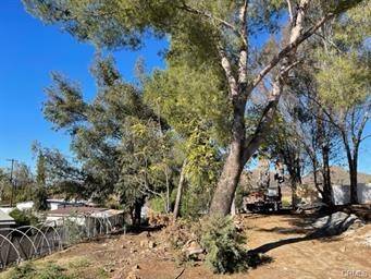 Wildomar, CA 92595,0 Fir