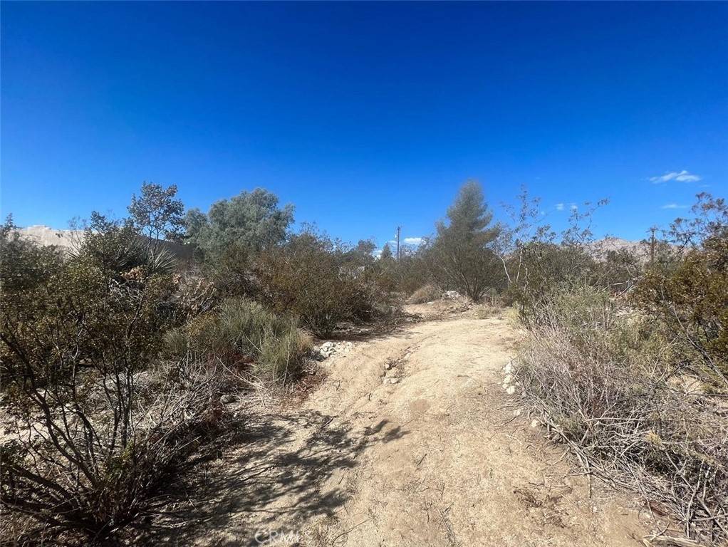 Morongo Valley, CA 92256,0 Bella Vista DR