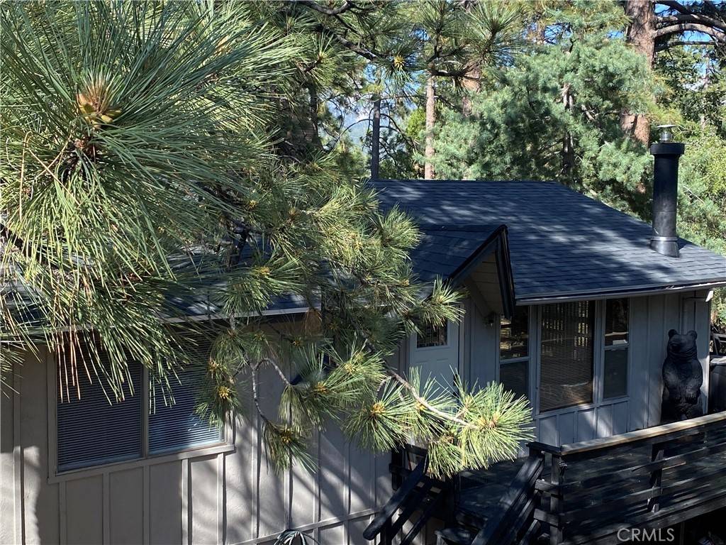 Idyllwild, CA 92549,25300 Marion Ridge DR