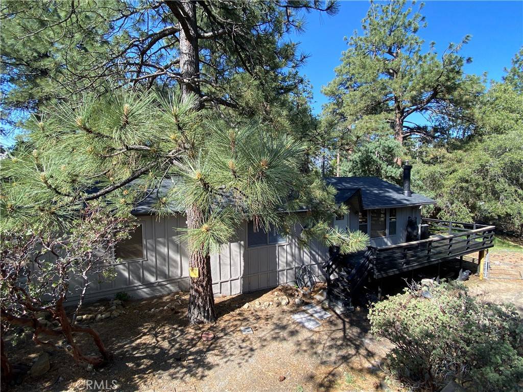 Idyllwild, CA 92549,25300 Marion Ridge DR