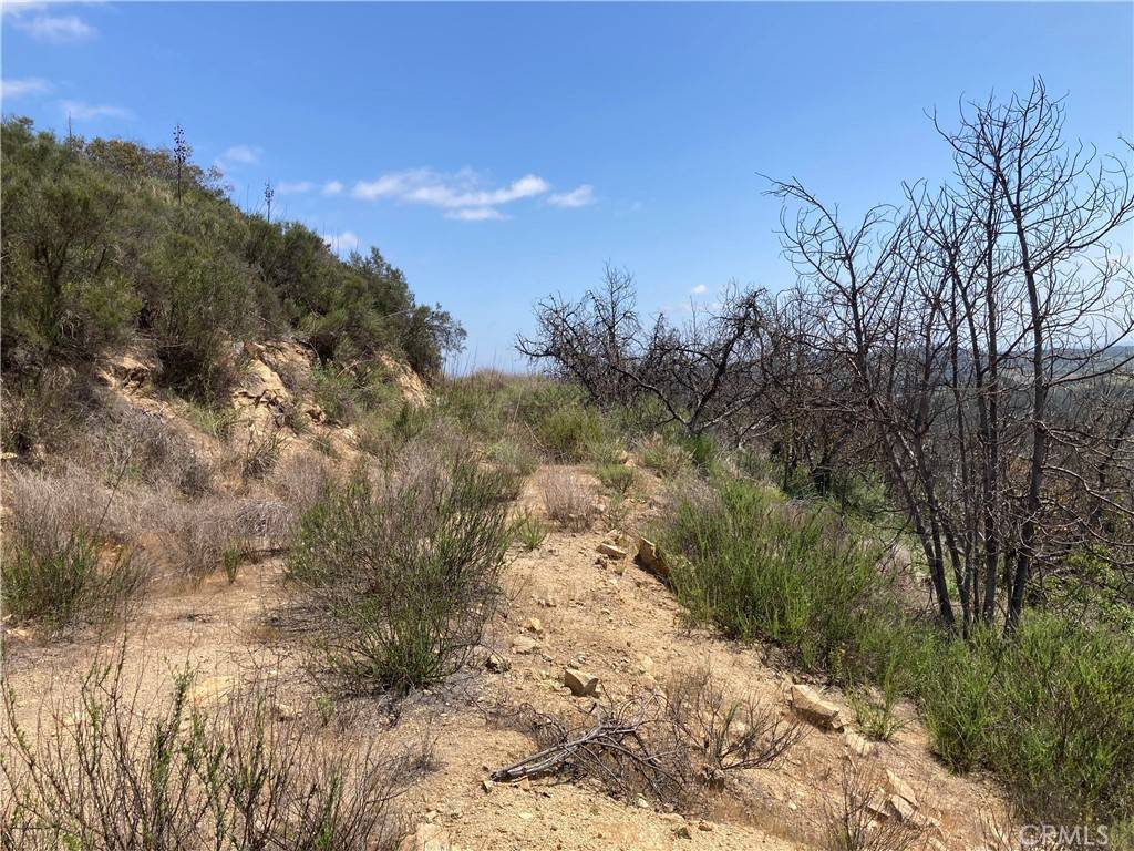 Temecula, CA 92590,3 Daneri LN