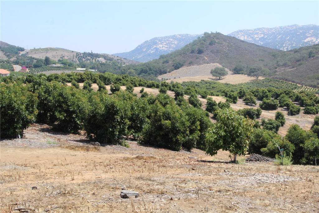 Temecula, CA 92590,4 Via Vaquero RD