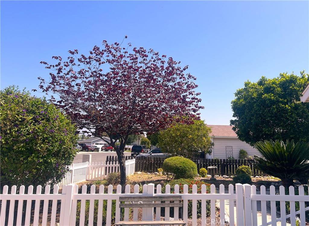 Lake Elsinore, CA 92530,31768 Via Verde