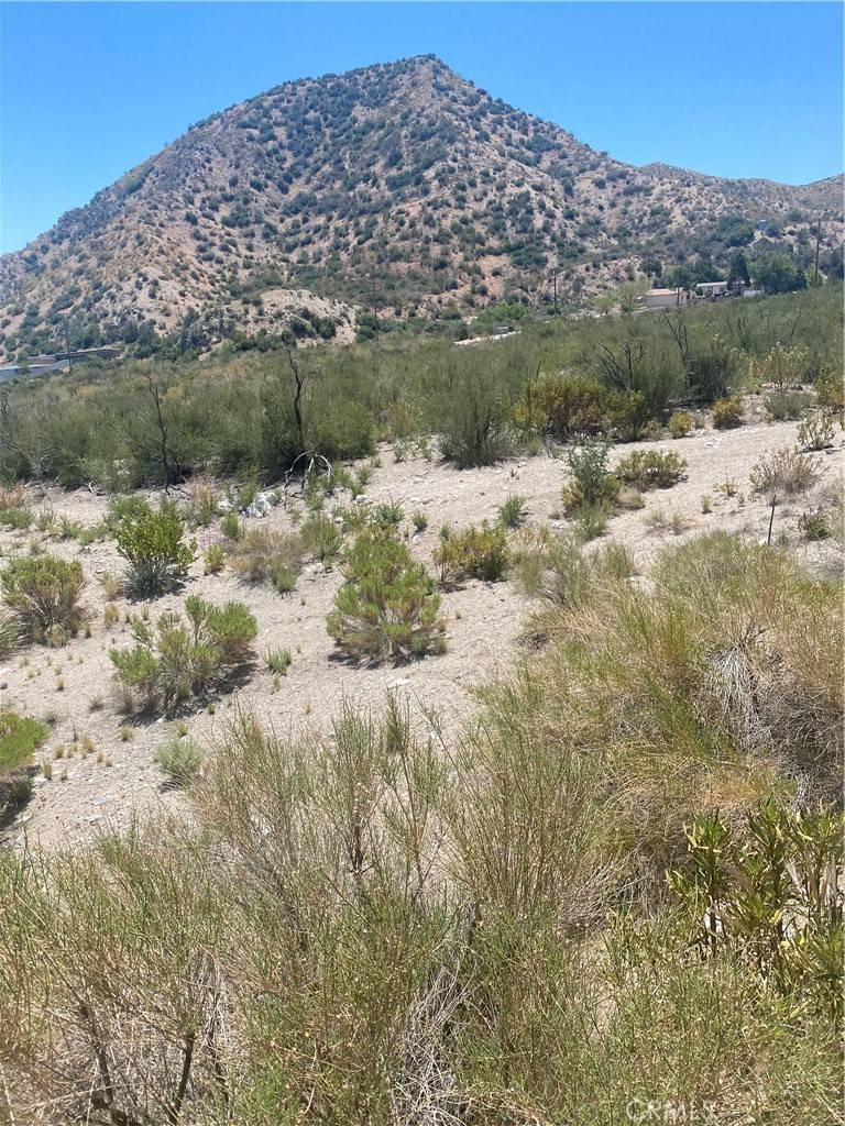 Pinon Hills, CA 91401,0 Farris Ranch Road