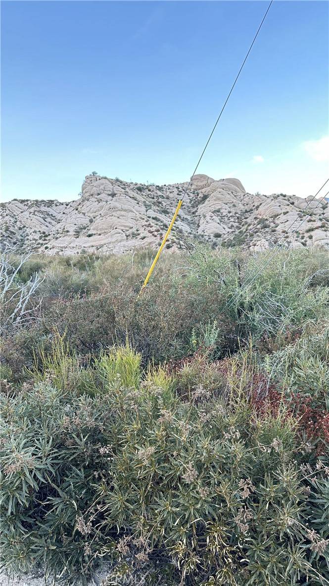 Pinon Hills, CA 91401,0 Farris Ranch Road