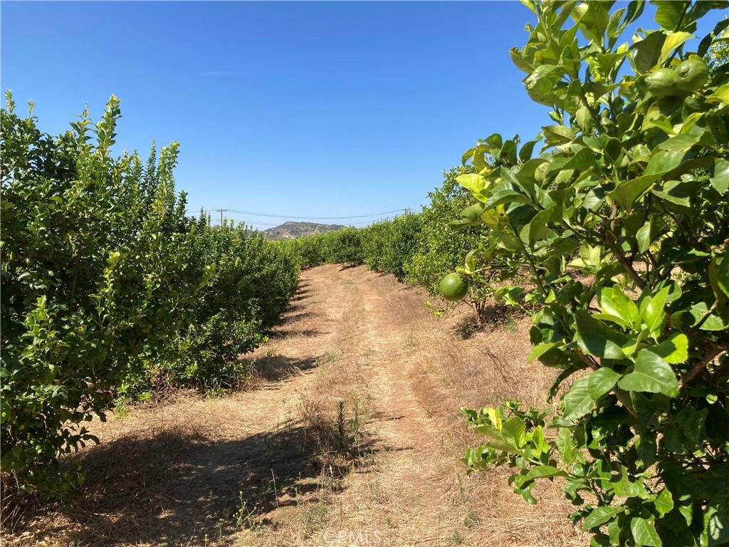 Temecula, CA 92590,39 Carancho RD