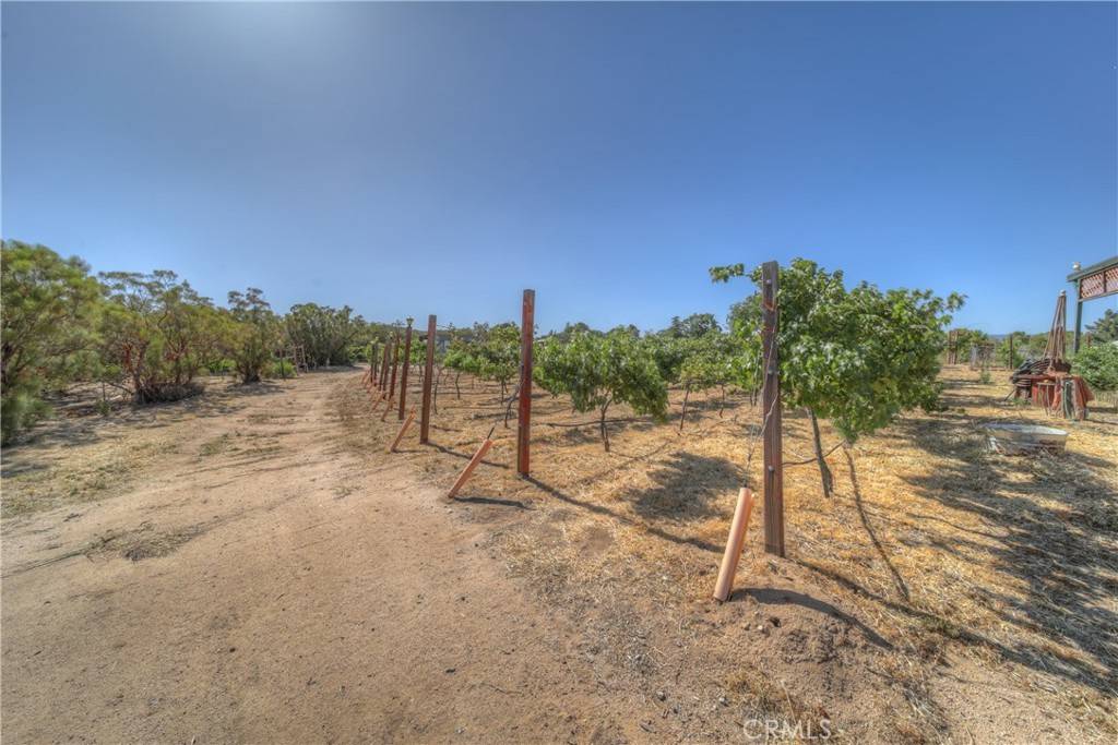 Anza, CA 92539,57820 Valley Vista LN