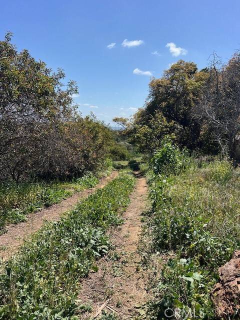 Fallbrook, CA 92028,2501 Via Rancheros Way