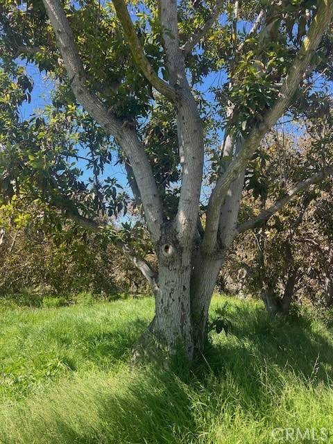 Fallbrook, CA 92028,2501 Via Rancheros Way