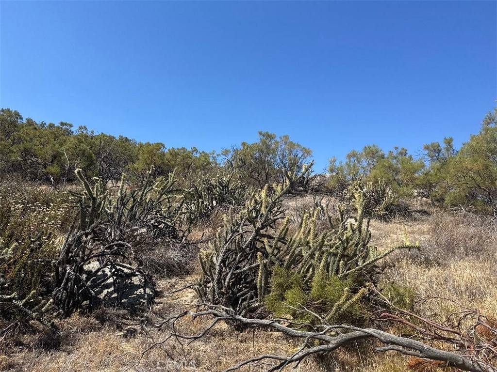 Aguanga, CA 92536,0 ShortCut TRL