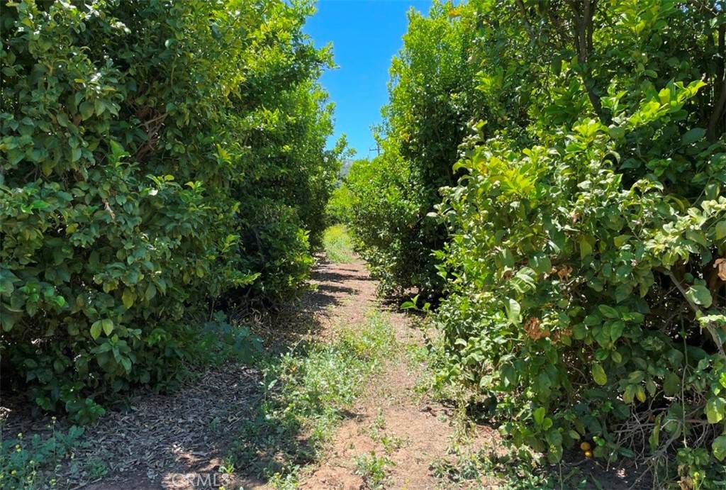 Temecula, CA 92590,1 Vista Del Mar