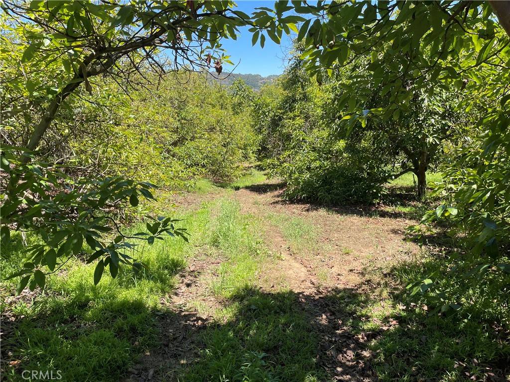 Temecula, CA 92590,4 Los Gatos RD