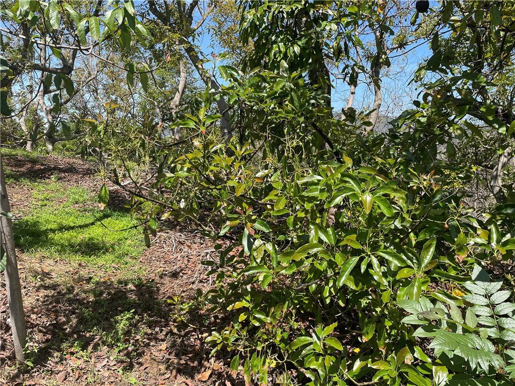 Temecula, CA 92590,4 Los Gatos RD