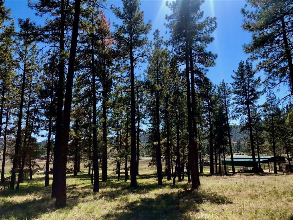 Mountain Center, CA 92561,0 Butterfly Peak Rd.