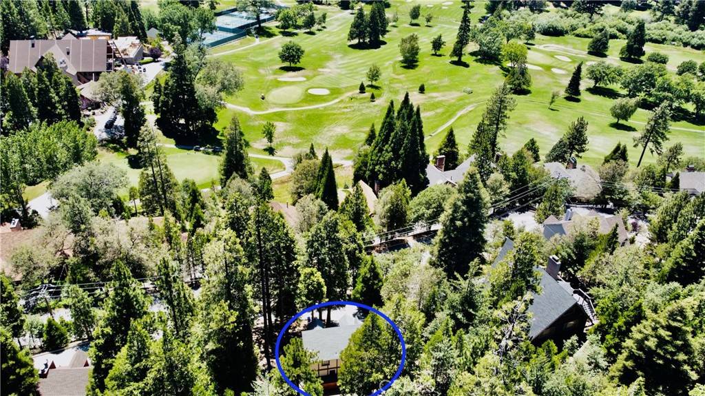 Lake Arrowhead, CA 92352,349 Golf Course RD
