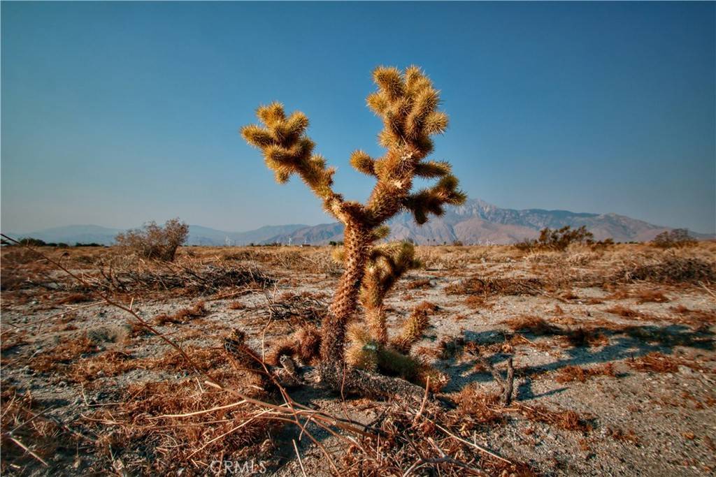 Desert Hot Springs, CA 92240,0 8th AVE