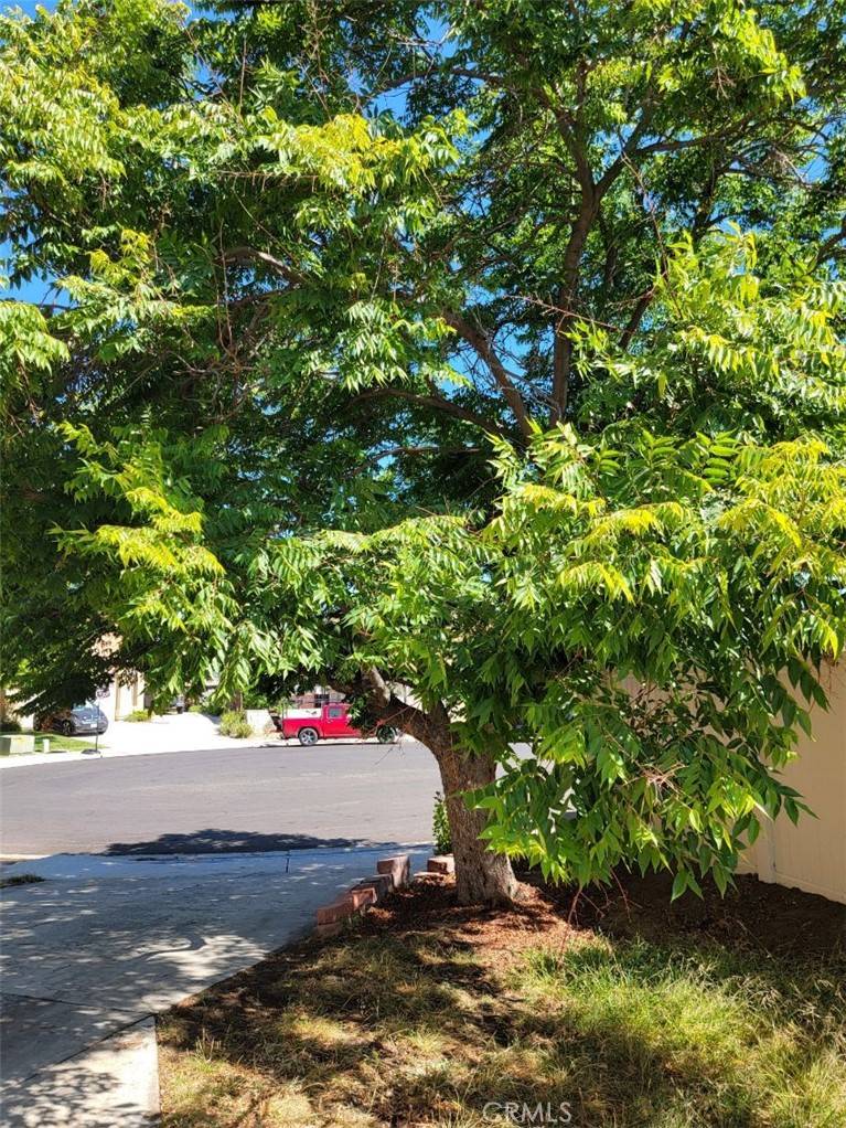Murrieta, CA 92562,39897 Verono Corte