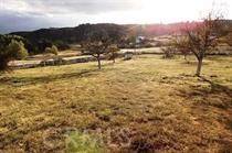Aguanga, CA 92536,48775 Forest Springs RD