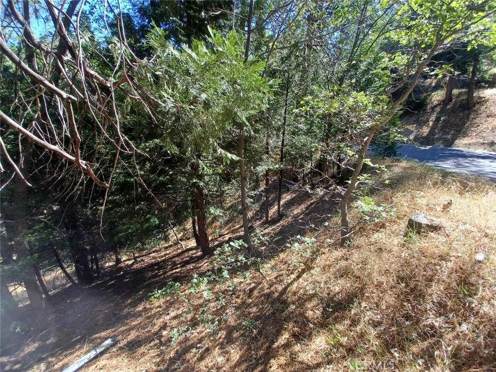Twin Peaks, CA 92391,0 Club House DR