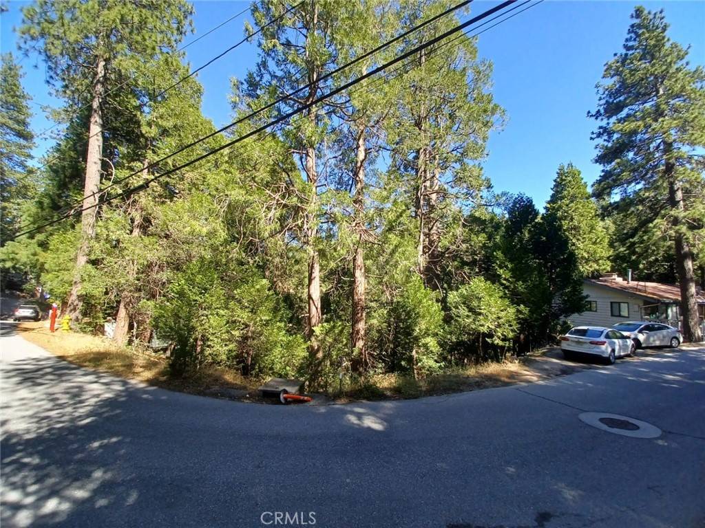 Twin Peaks, CA 92391,0 Club House DR