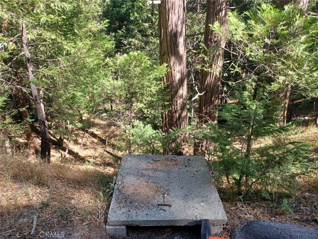 Twin Peaks, CA 92391,0 Club House DR